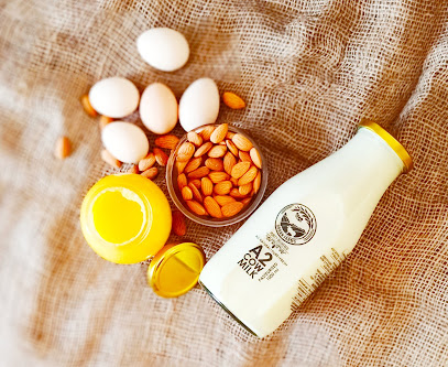 A2 Cow Milk In Pune | Desi Cow Milk Delivery - Urban Farms Milk| Fresh Gir Cow Milk Farm