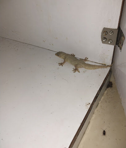 AGM Facilities : Pest Control, Water Tank Cleaning, Deep Cleaning, & Plumbing Services