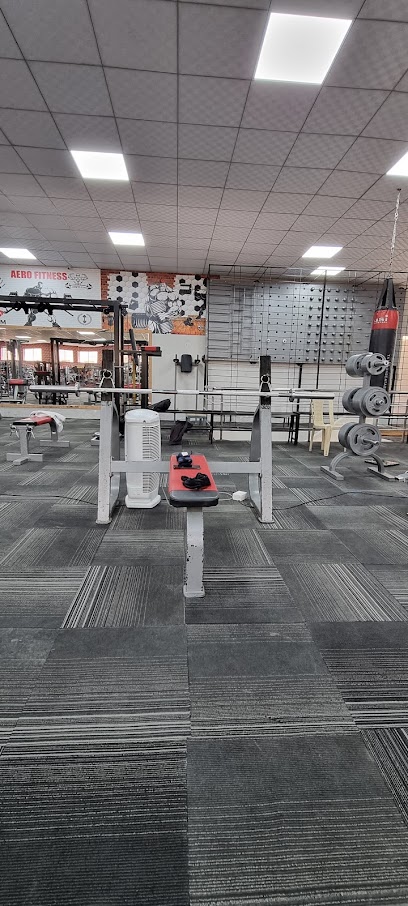 Aero Fitness & Academy