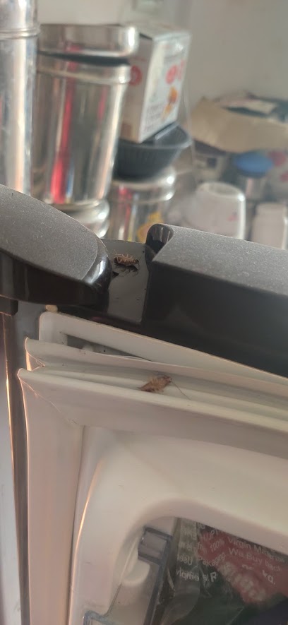 GLOBAL PEST CONTROL
